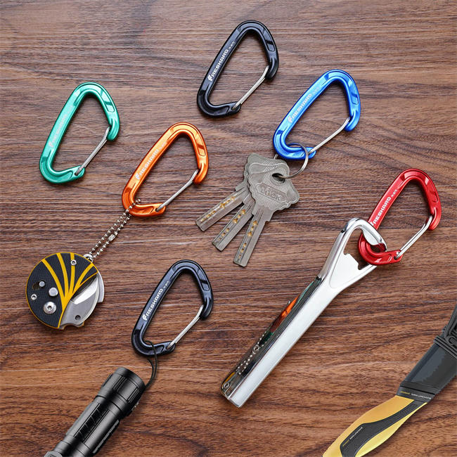 5pcs Carabiner Clips, 8kN 1798lbs, Small Sturdy, Reliable Time-Tested Strong Spring Wiregate